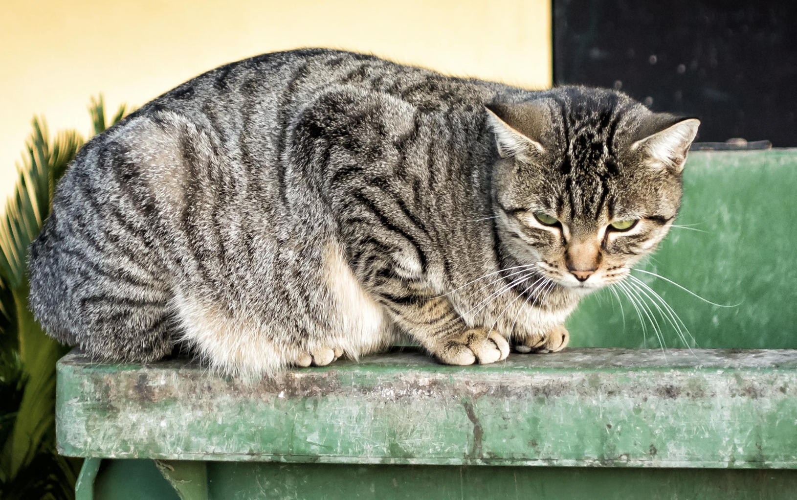 Letters Unsent, A collection of short essays