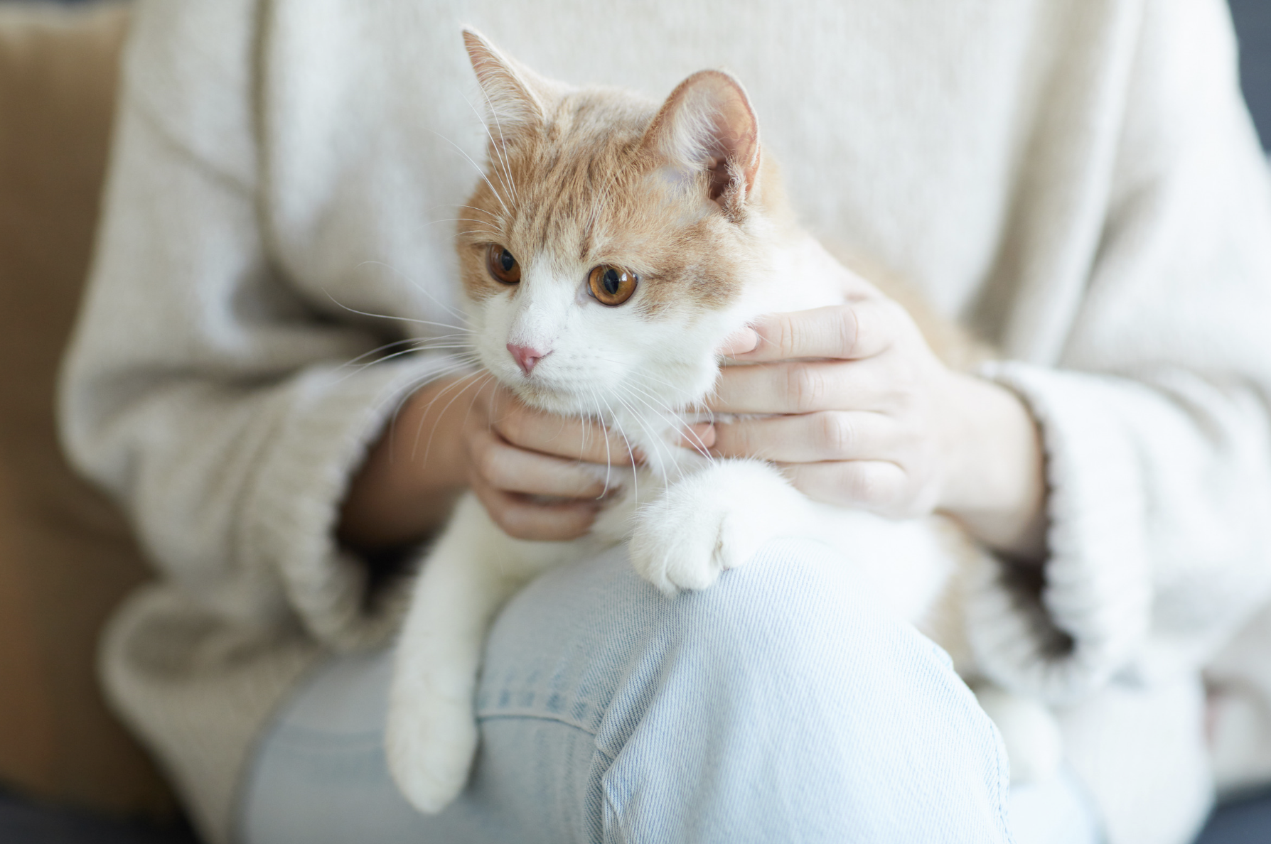 Letters Unsent, A collection of short essays