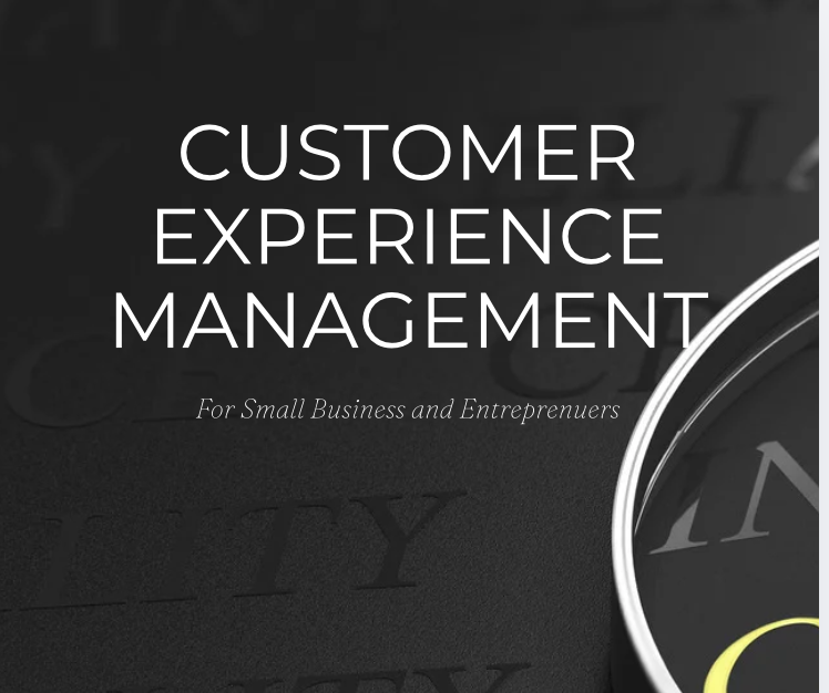 Customer Experience Management By Liz Penner